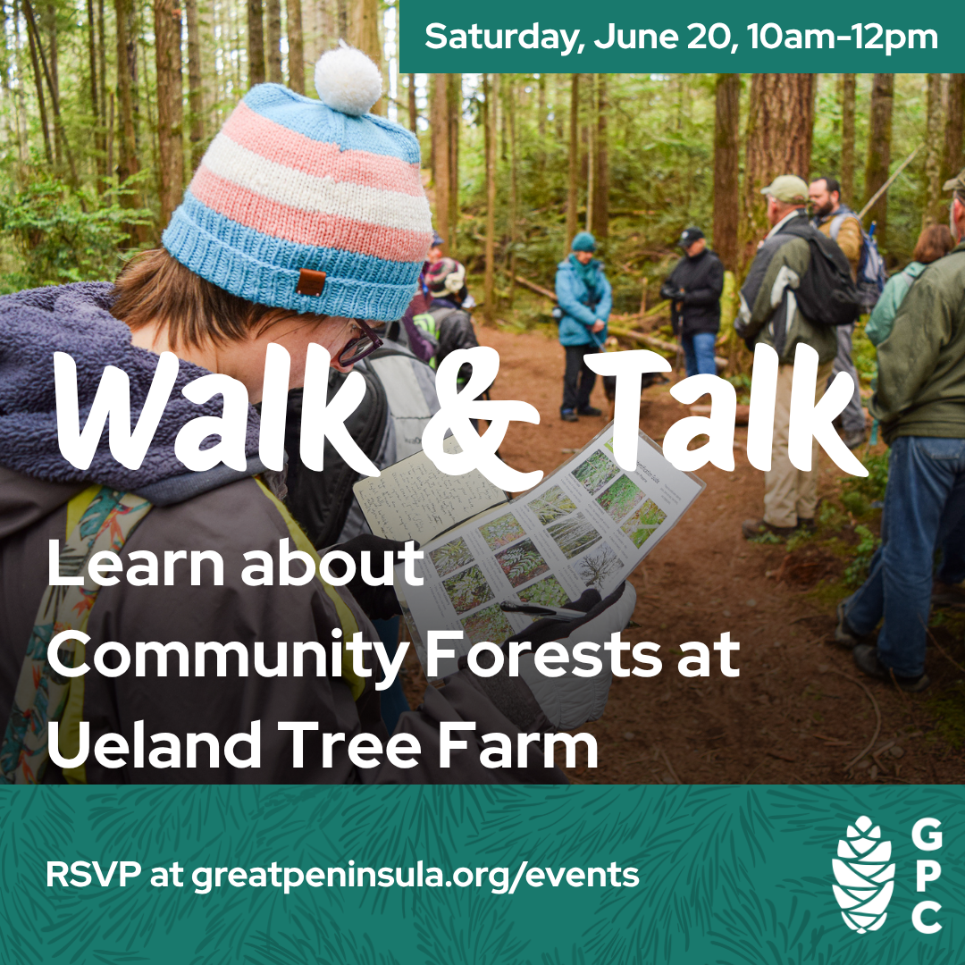 June 20 GPC Walk & Talk Graphic – 2026
