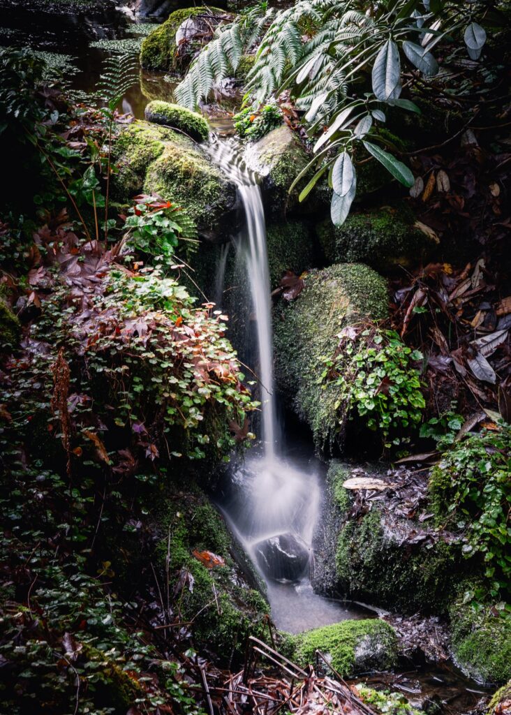 Gardens, pools and streams create tranquil spaces throughout Bloedel Reserve.