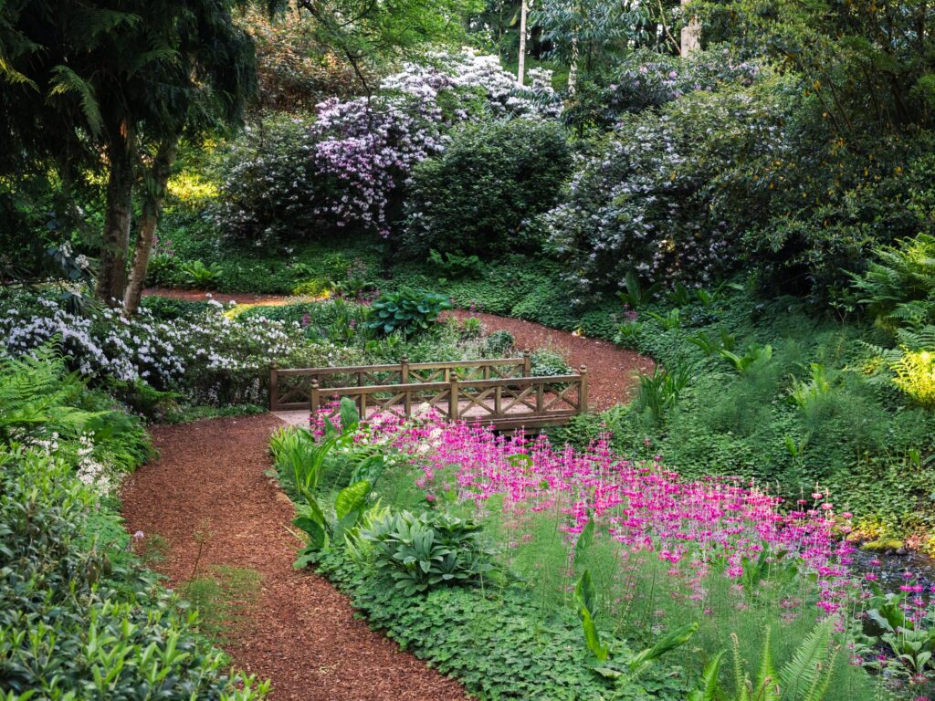 Spring blooms line the trails at Bloedel Reserve, adding seasonal color to the landscape.