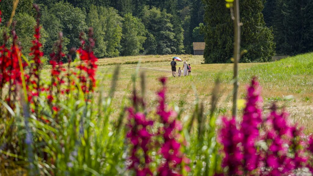 A family walks through the sheep meadow at Bloedel Reserve, where the Bloedels once kept a flock of sheep.