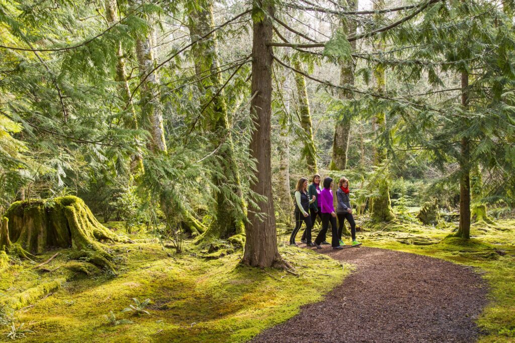 Bloedel Reserve offers visitors a chance to experience the beauty of the Pacific Northwest throughout the year.