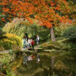 A family walks along the trails at Bloedel Reserve, surrounded by the vibrant colors of autumn.