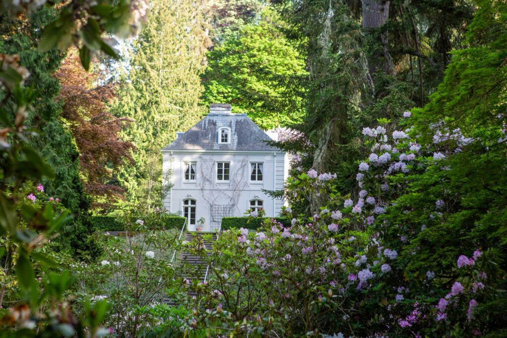 The Bloedel residence peeks through the trees, blending into the surrounding landscape.